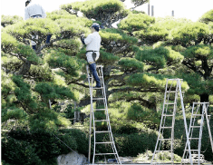 お墓参り代行